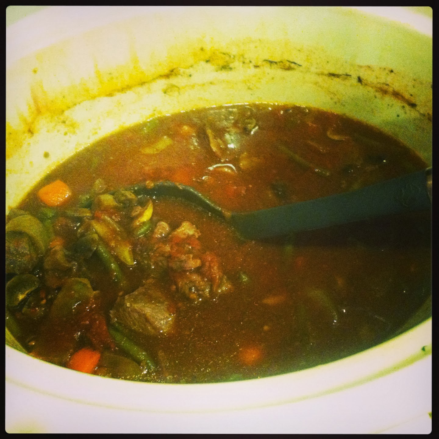 Trotting Thru Life Crockpot Paleo Beef Stew